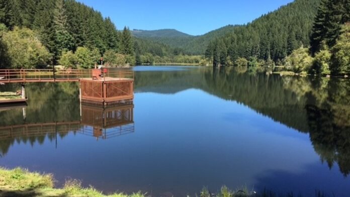 hult log storage pond dam